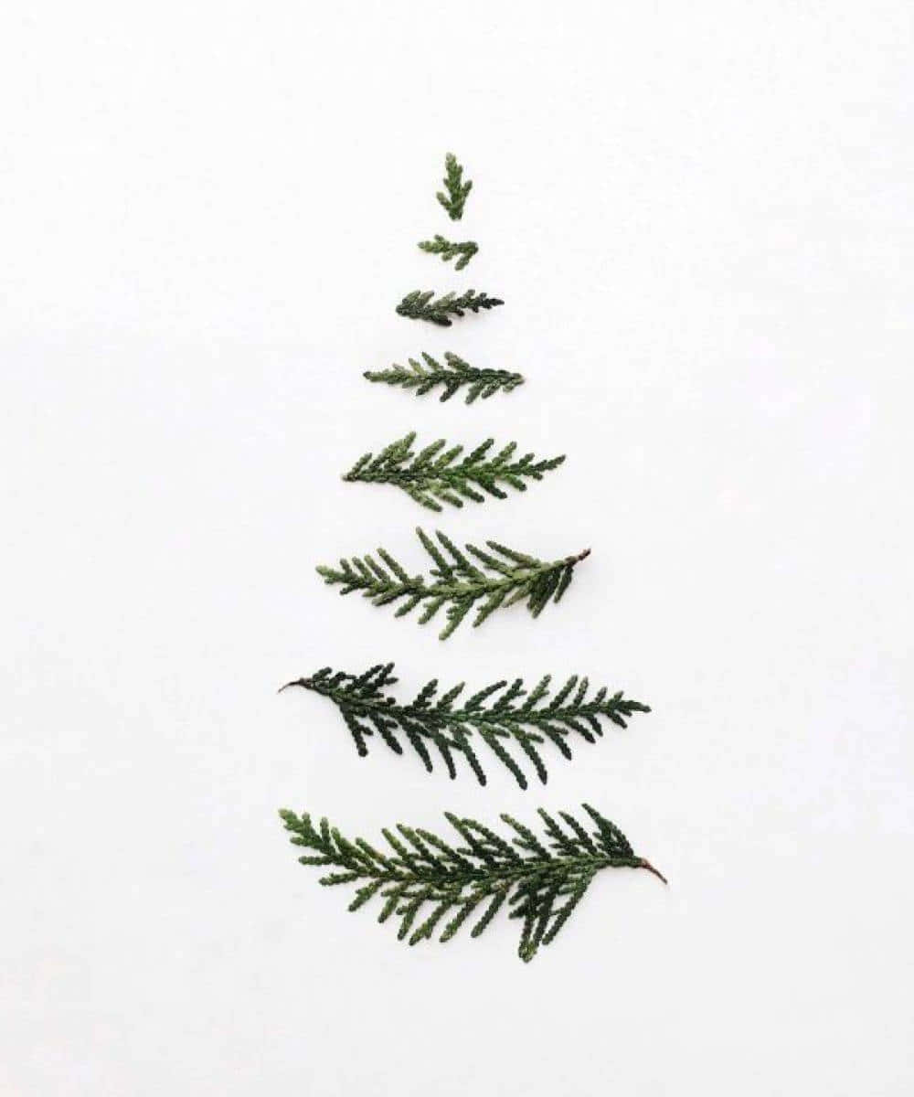 minimalist christmas desktop, evergreen sprigs, triangular tree shape, SD Phone Wallpaper