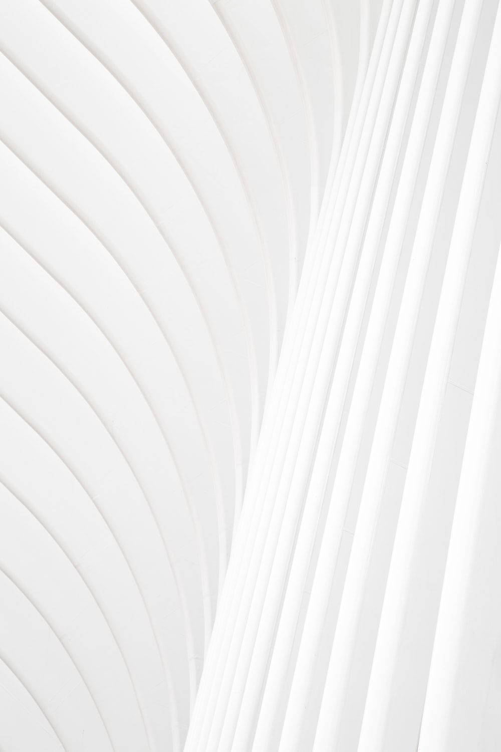 3D All White Lines, white, curved lines, HD Phone Wallpaper