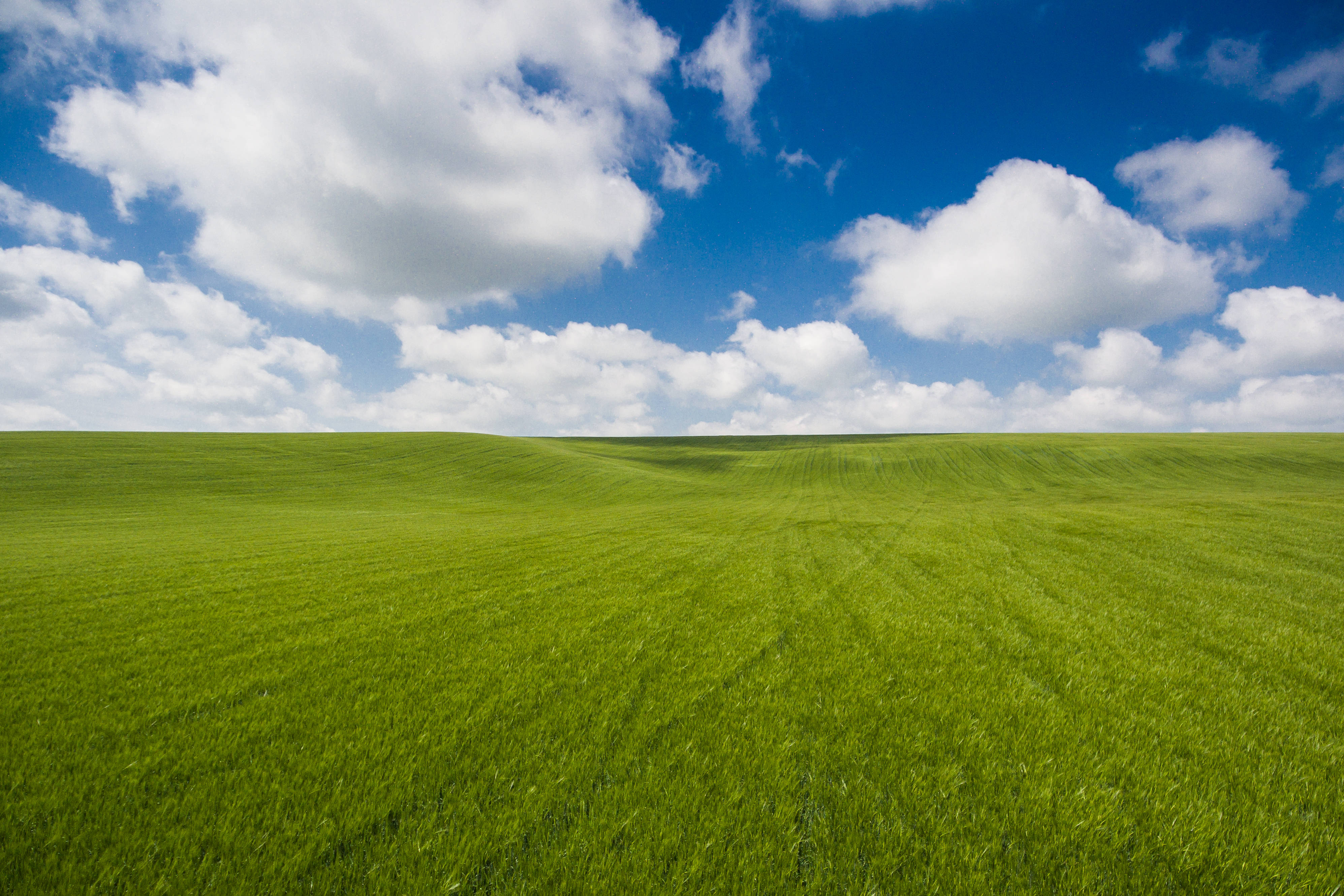 coastal sunrise, rolling green fields, bright blue sky, 4K Desktop Wallpaper