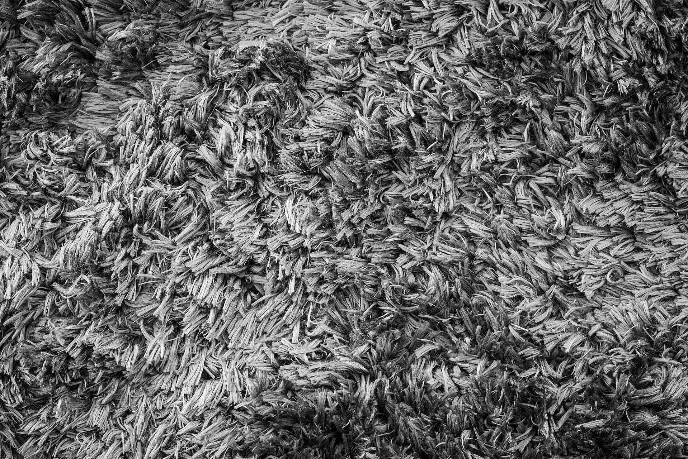 black and white texture, dense shaggy carpet fibers, varied gray tones, Full HD Desktop Wallpaper