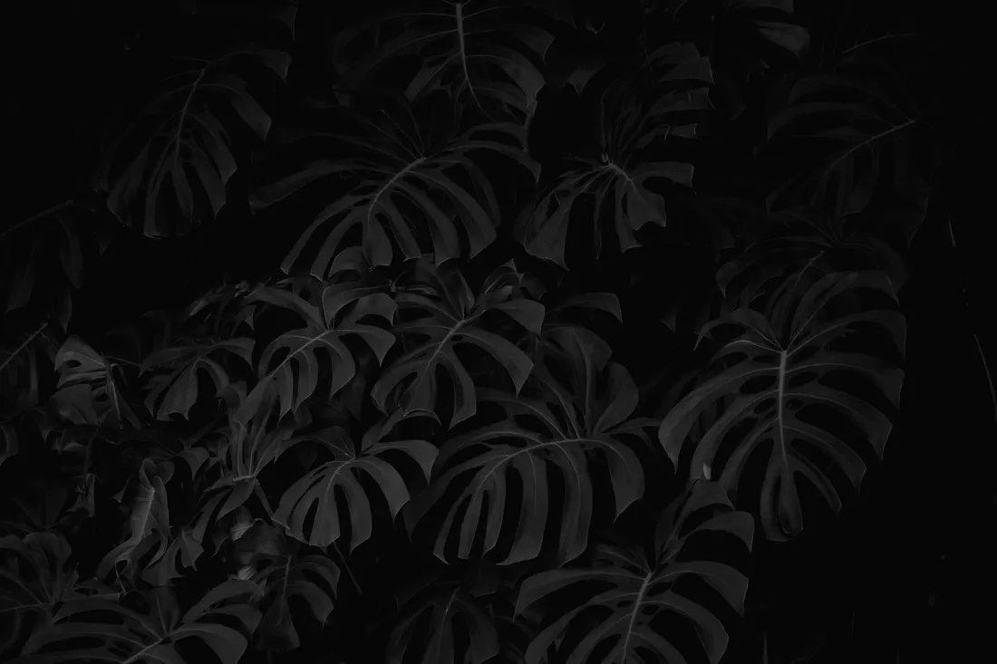 Simple Dark