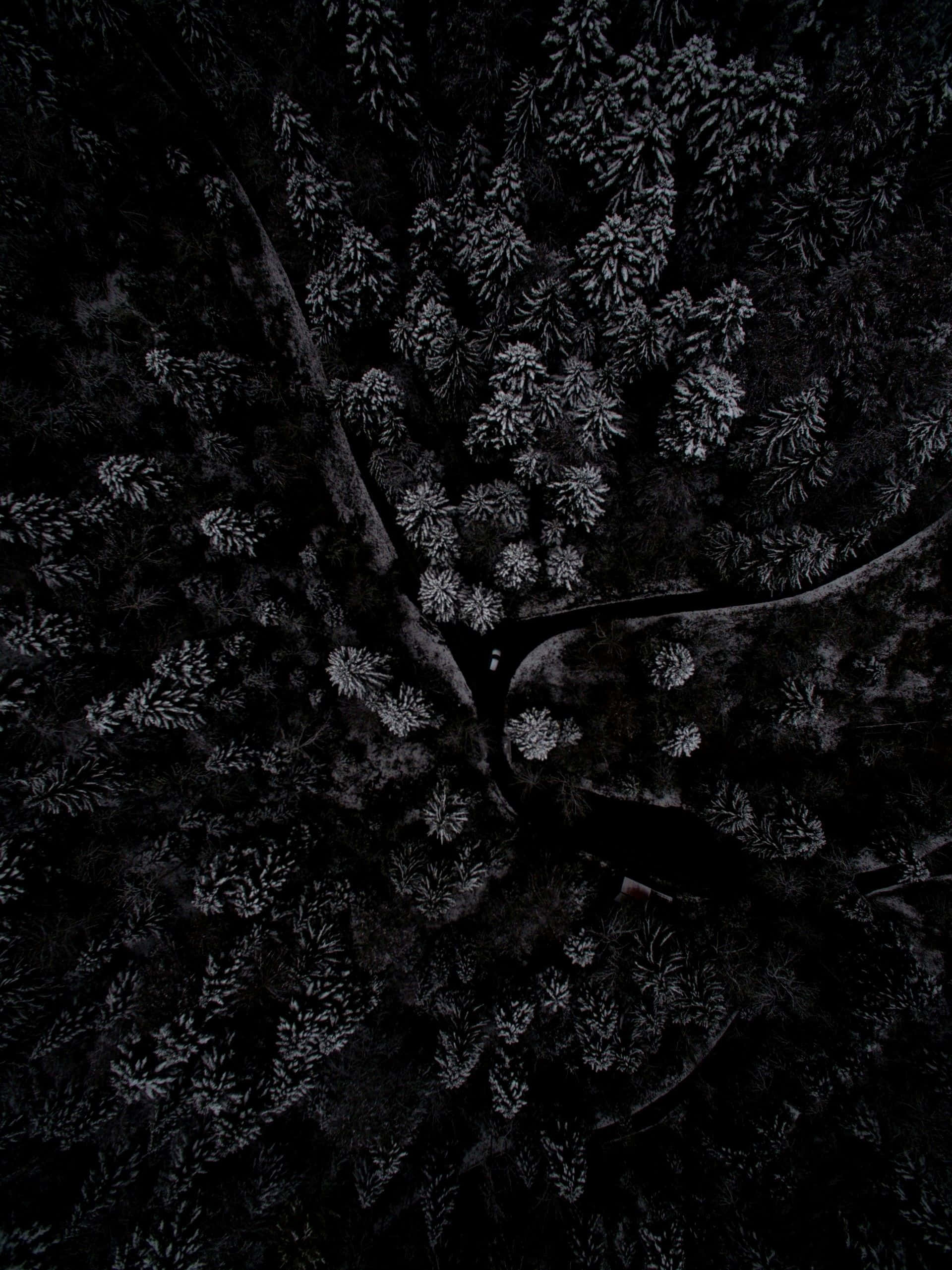 monochromatic room, shades of black and grey, aerial view, 2K Phone Wallpaper