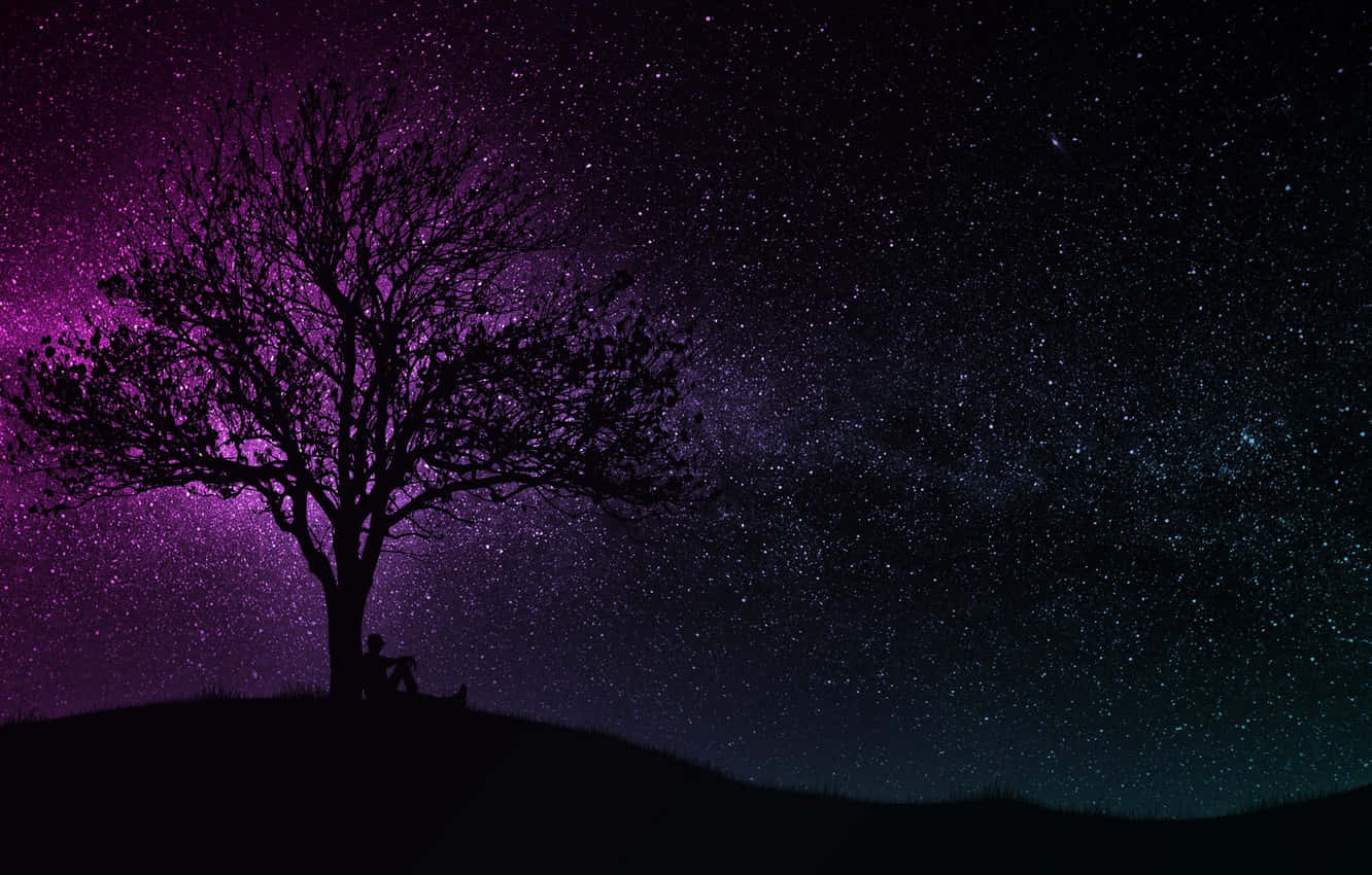 lone person, bare tree, hill, HD Desktop Wallpaper