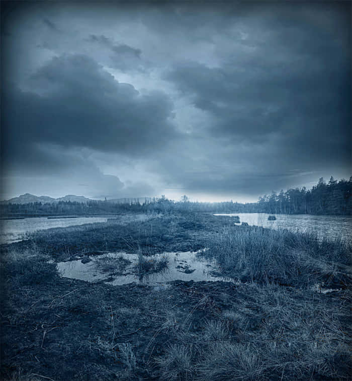 moody blue-toned marshland, heavy clouded sky, distant trees, SD Phone Wallpaper