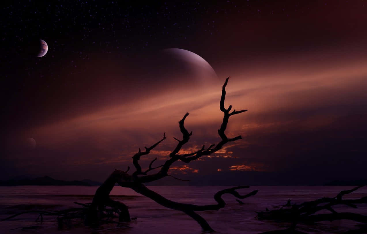 silhouetted dead tree branches, calm alien sea, twilight sky, SD Desktop Wallpaper