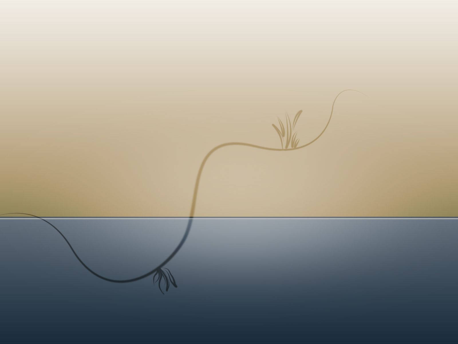 Simple Desktop, curve line, plant stem, HD Desktop Wallpaper