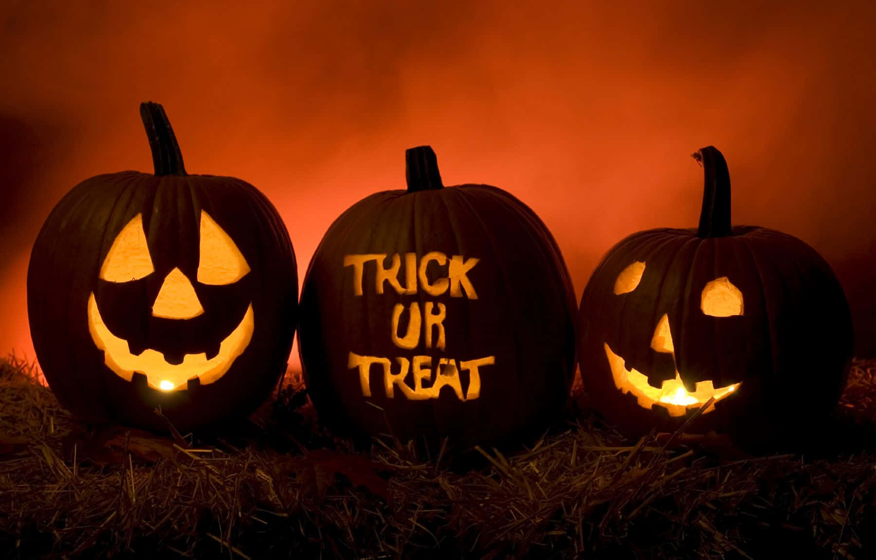 jack-o'-lanterns, carved faces, trick or treat text, HD Desktop Wallpaper