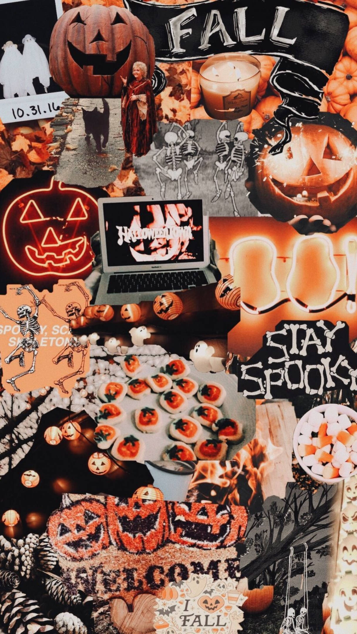 Halloween, pumpkins, skeletons, Full HD Phone Wallpaper