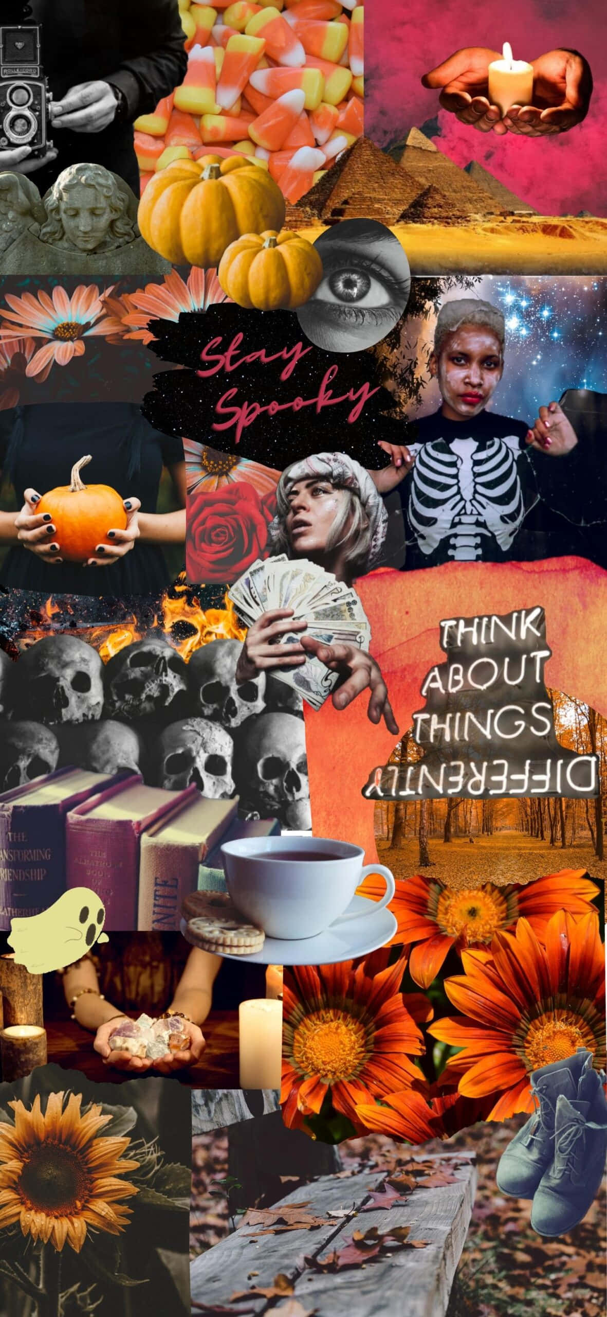 Halloween Collage Aesthetic, pumpkins, skulls, 2K Phone Wallpaper
