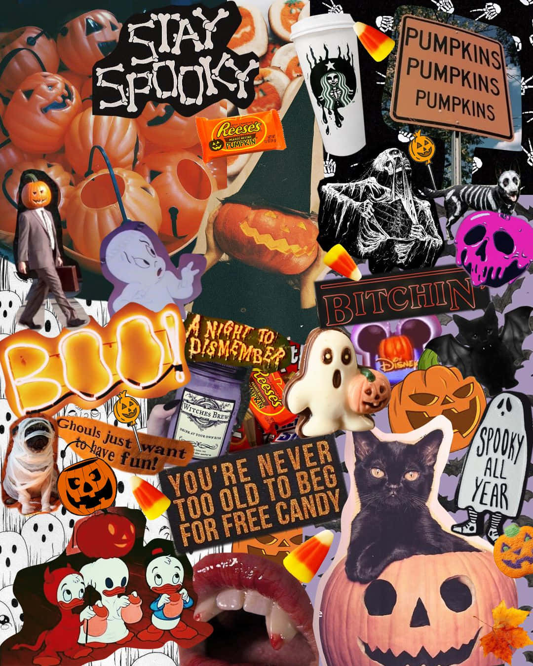 Halloween Collage Aesthetic, pumpkins, ghosts, HD Phone Wallpaper
