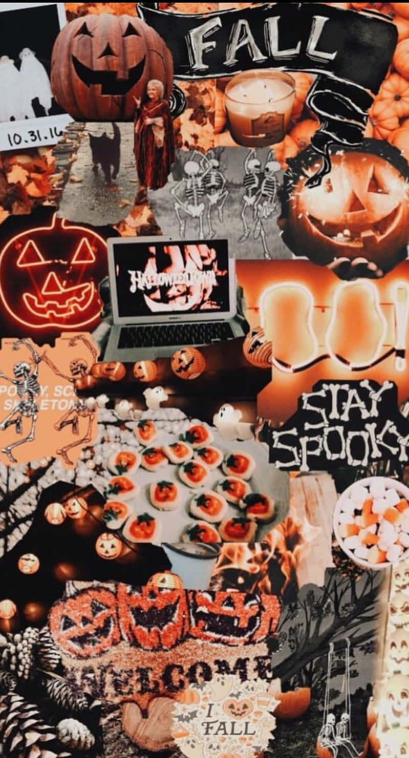 Halloween Collage Aesthetic, pumpkins, skulls, HD Phone Wallpaper
