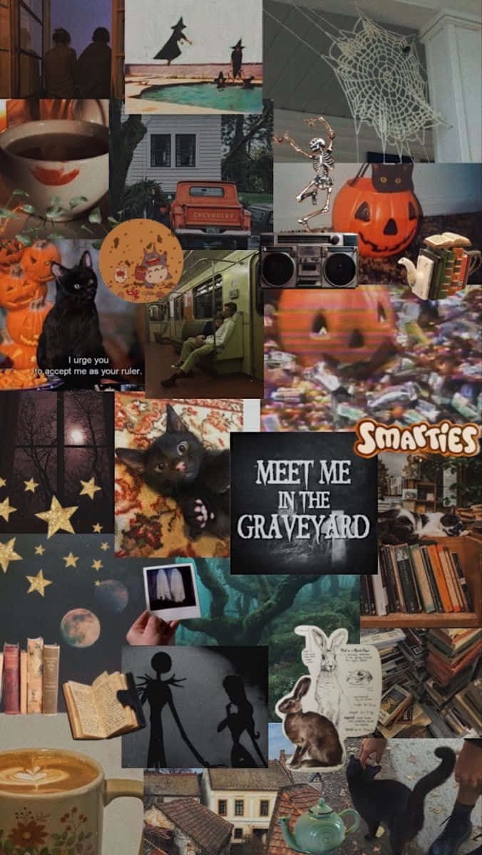 Halloween, black cats, pumpkins, SD Phone Wallpaper
