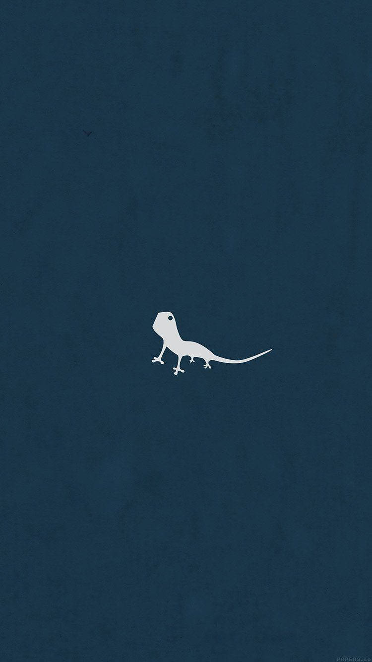 tiny lizard, gecko, white, HD Phone Wallpaper