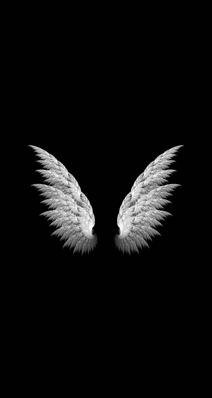 angel wings, white, black background, HD Phone Wallpaper