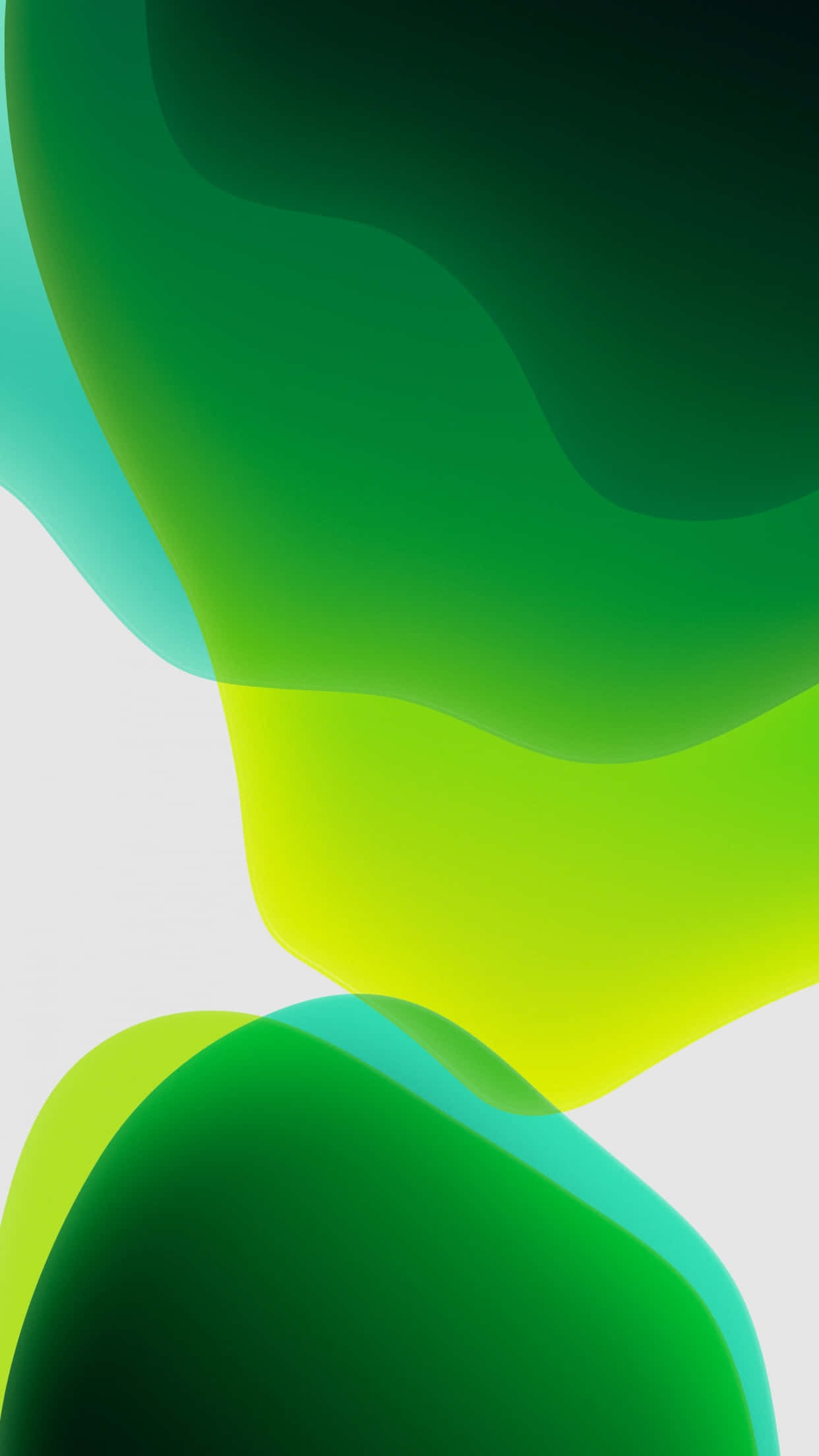 iPhone 11, green, wavy pattern, Full HD Phone Wallpaper