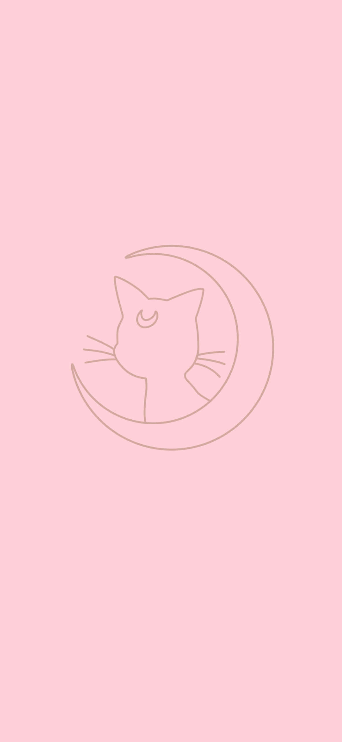 minimalist pink, cat's head, crescent moon, 2K Phone Wallpaper