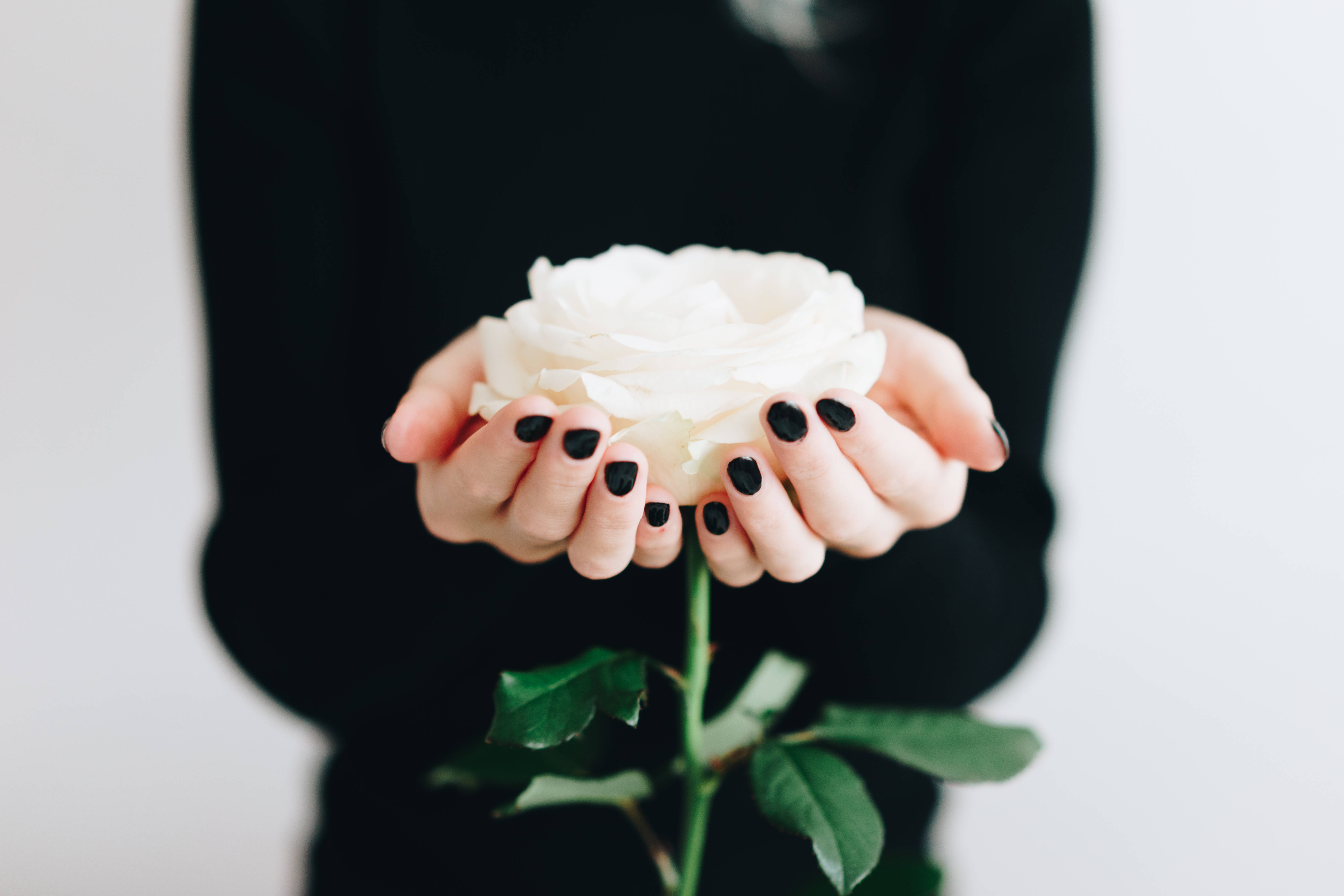 Simple White Aesthetic, white rose, black nail polish, 5K Desktop Wallpaper
