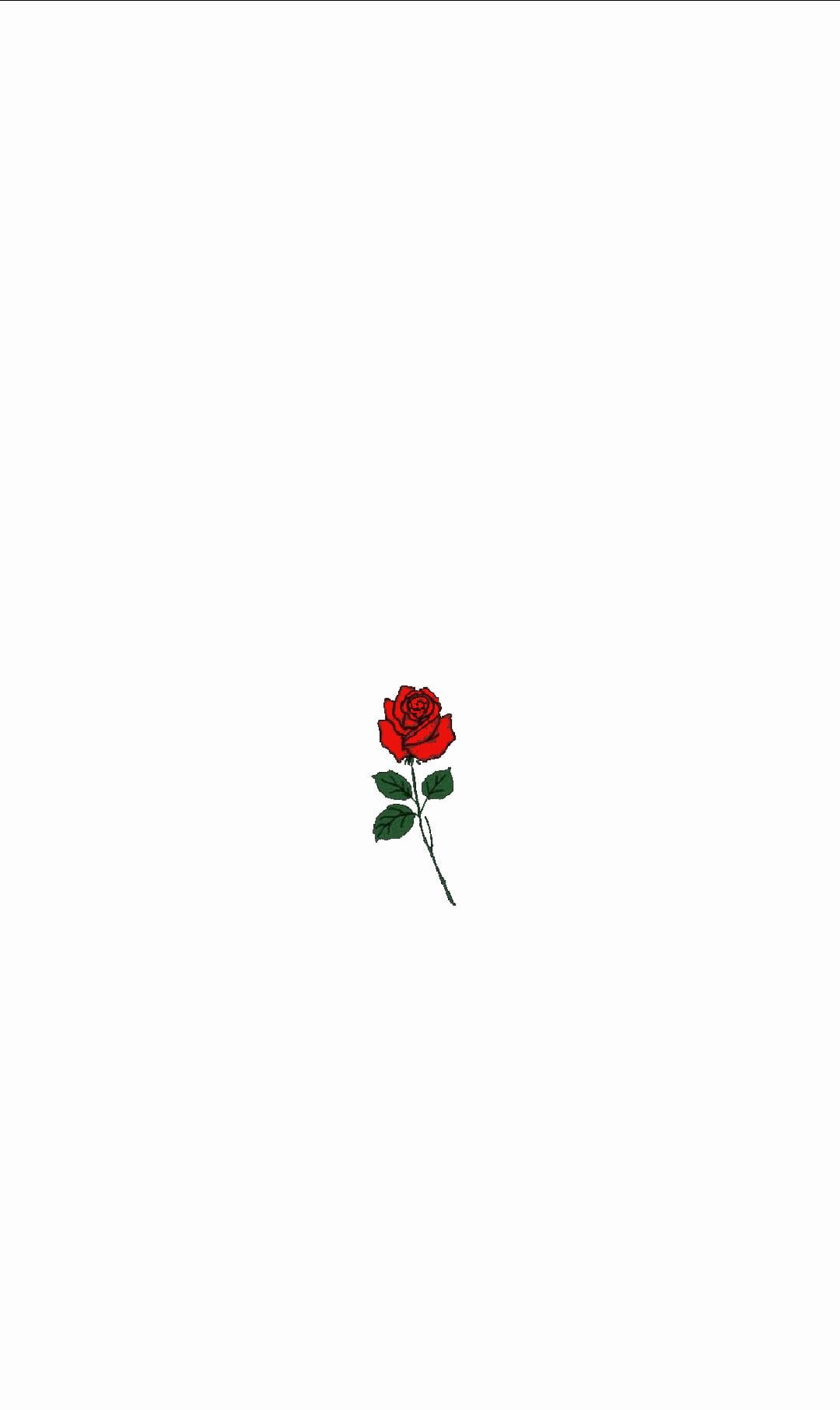 red rose, green leaves, stem, HD Phone Wallpaper