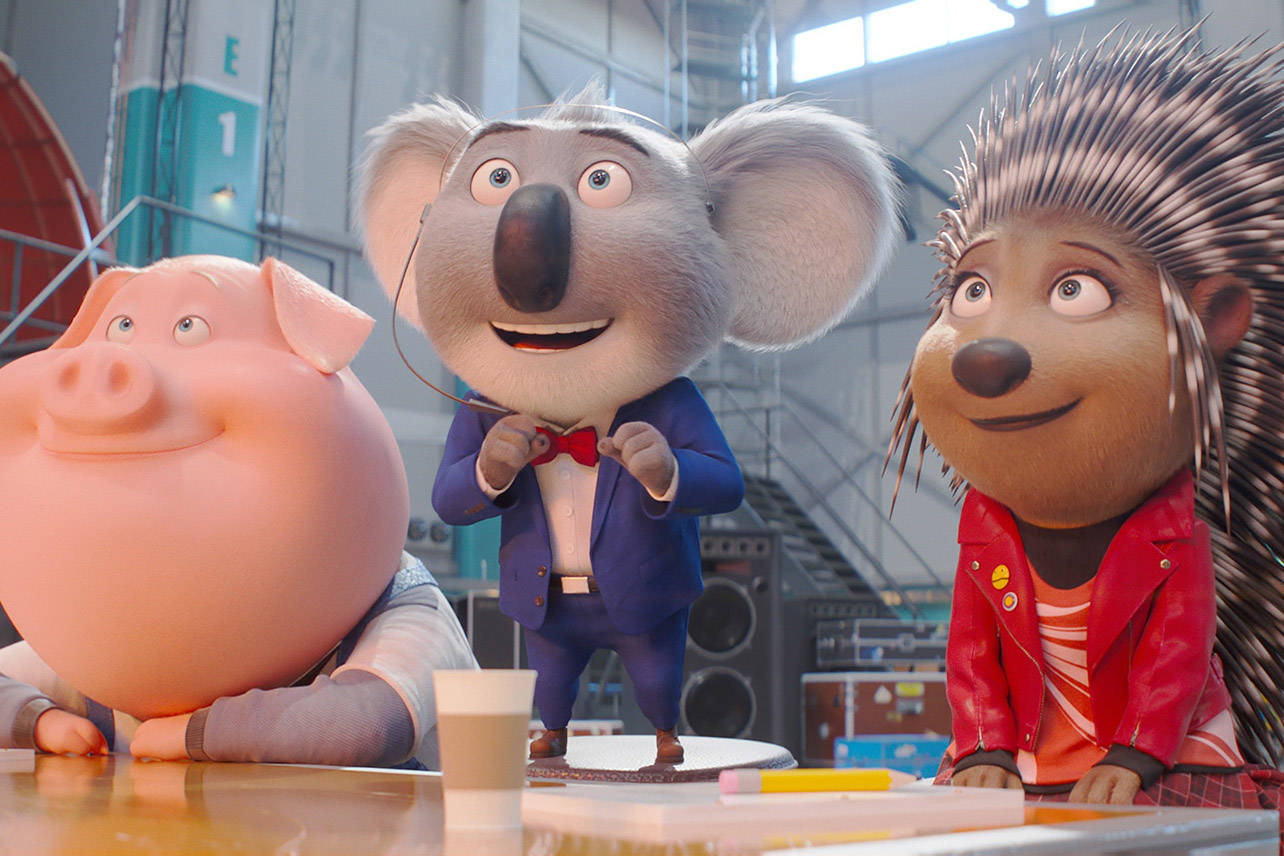 Sing 2, pig, koala in a suit, HD Desktop Wallpaper