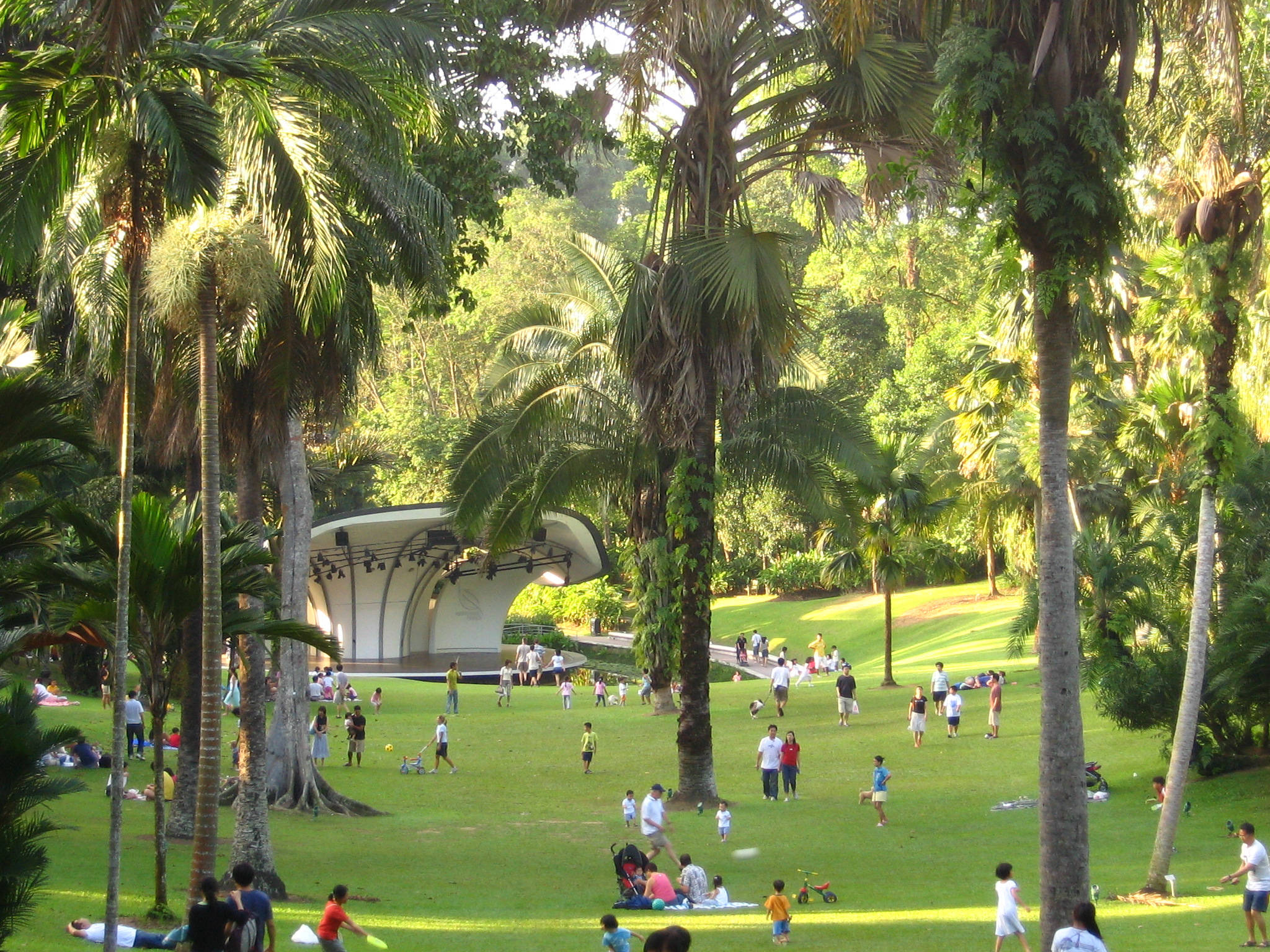 Singapore Botanic Gardens, tall palm trees, sunlit green park, Full HD Desktop Wallpaper
