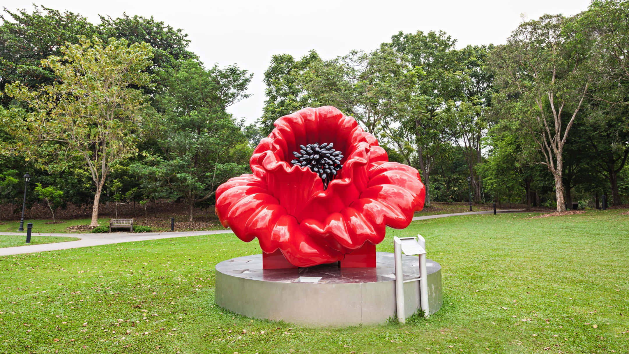 giant red flower sculpture, glossy red poppy sculpture, dark center, Full HD Desktop Wallpaper