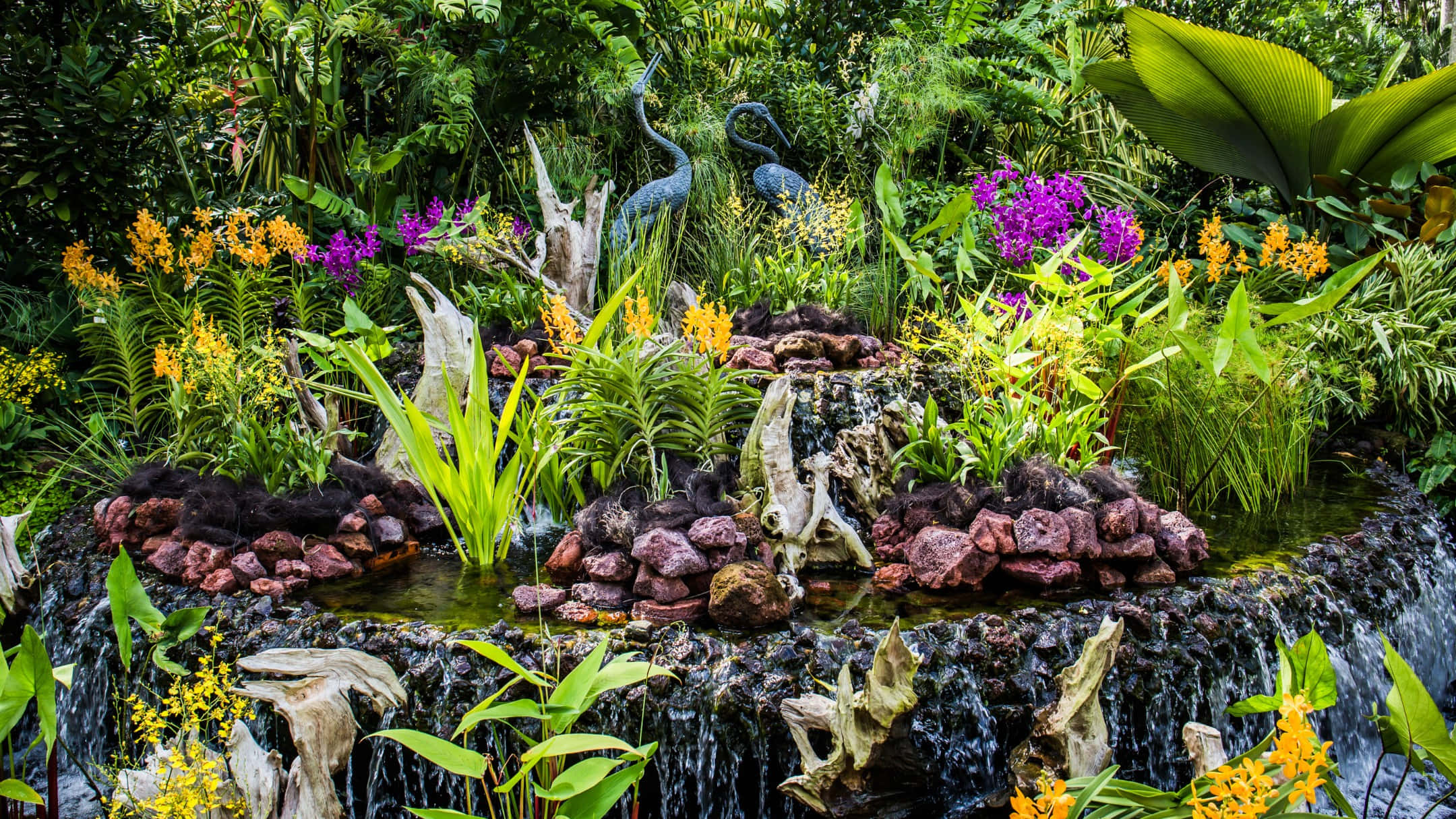 Singapore Botanic Gardens, orchid display, waterfall, Full HD Desktop Wallpaper