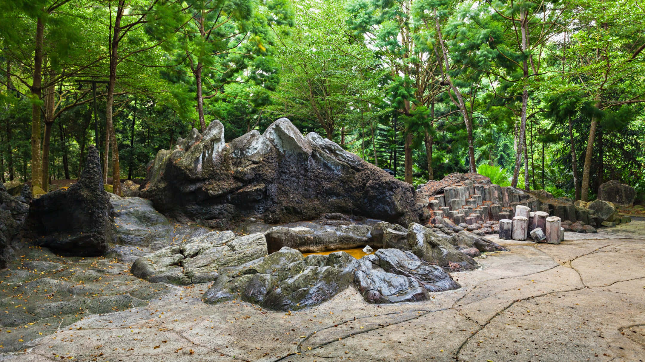 Singapore Botanic Gardens, rockery scene, dark volcanic rocks, Full HD Desktop Wallpaper