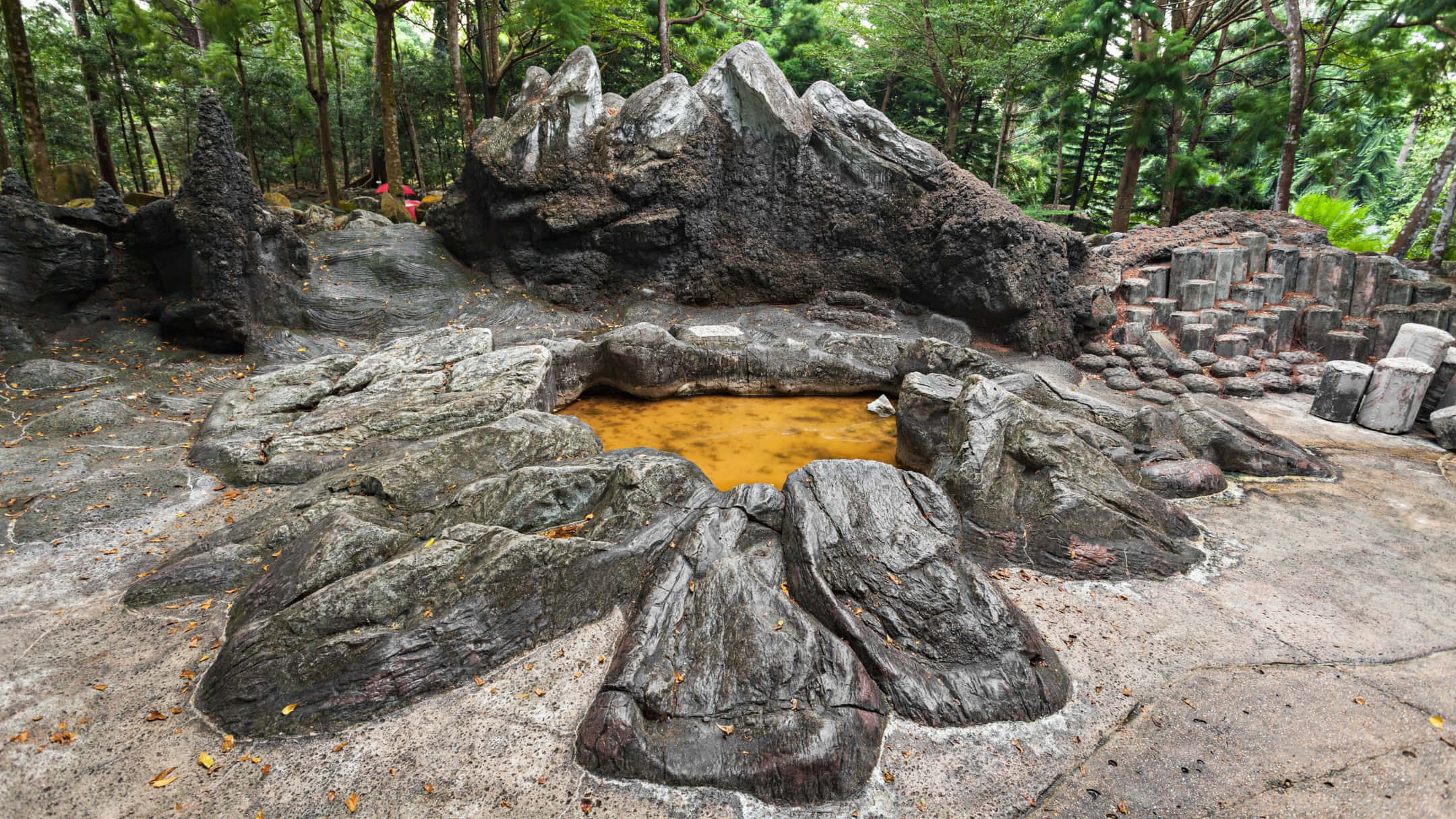 Singapore Botanic Gardens, rock formation, natural hot spring, Full HD Desktop Wallpaper