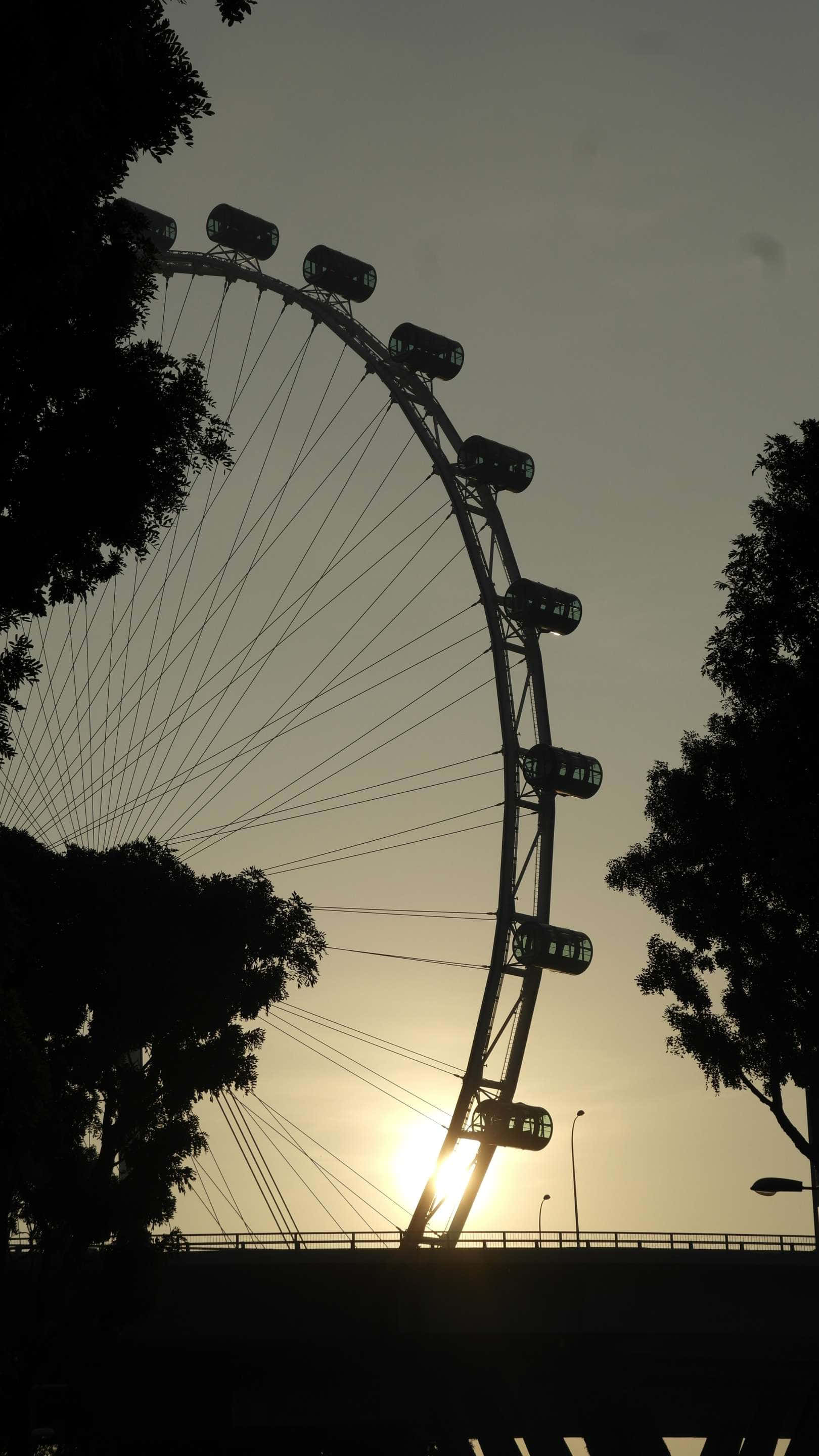 Singapore Flyer, golden sunset, dark tree branches, 2K Phone Wallpaper