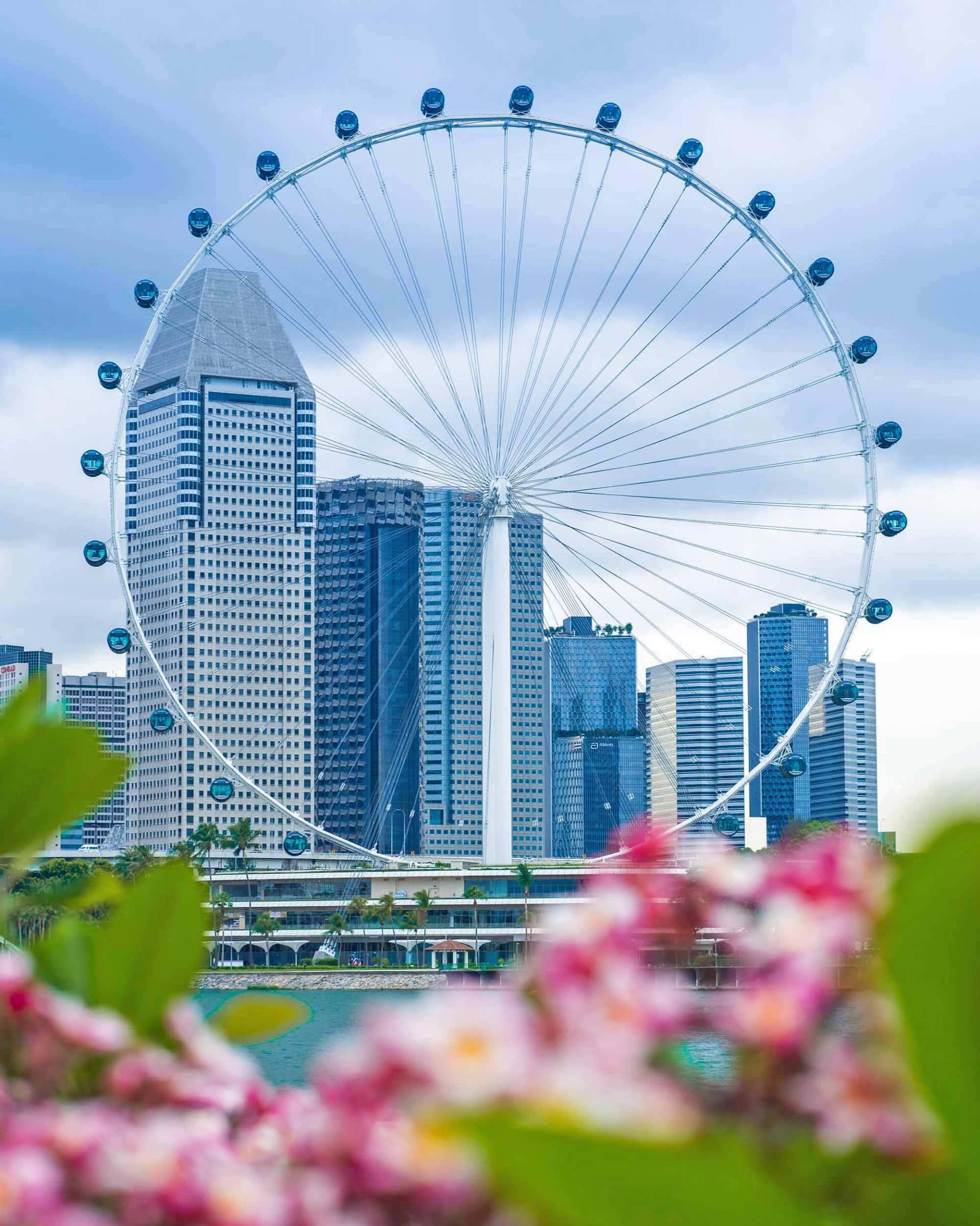 Singapore Flyer, white Ferris wheel, modern city skyline, Full HD Phone Wallpaper