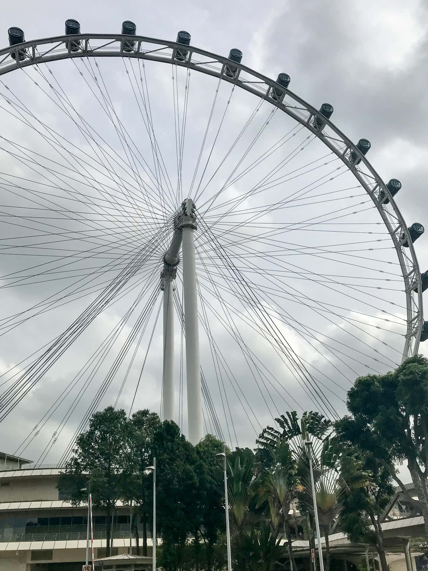Singapore Flyer, giant ferris wheel, silver, Full HD Phone Wallpaper