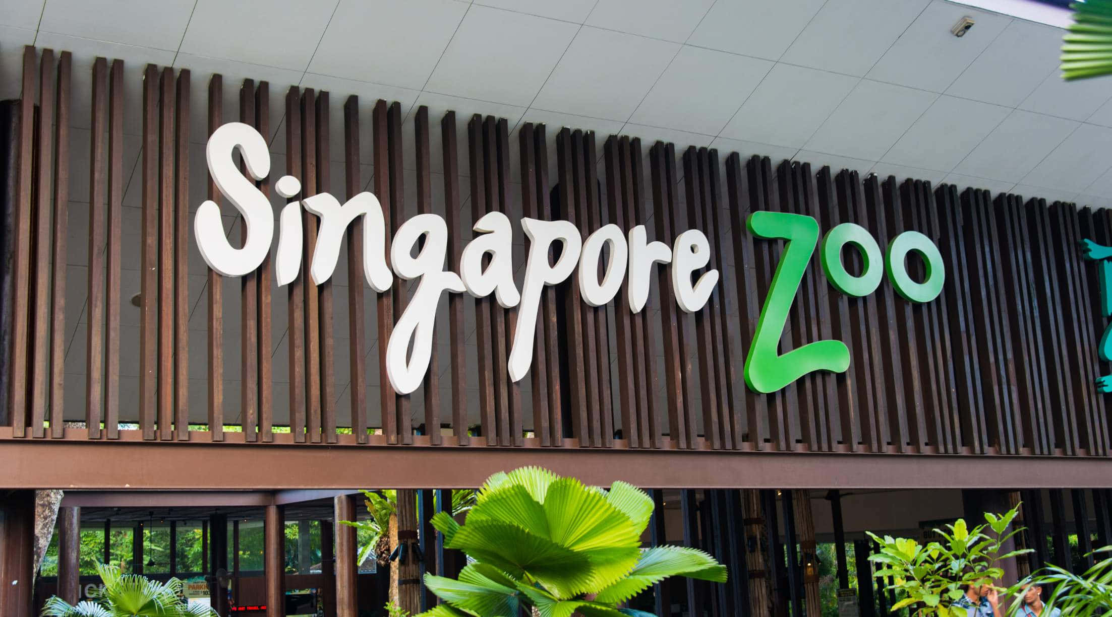 Singapore Zoo, entrance sign, white and green letters, Full HD Desktop Wallpaper