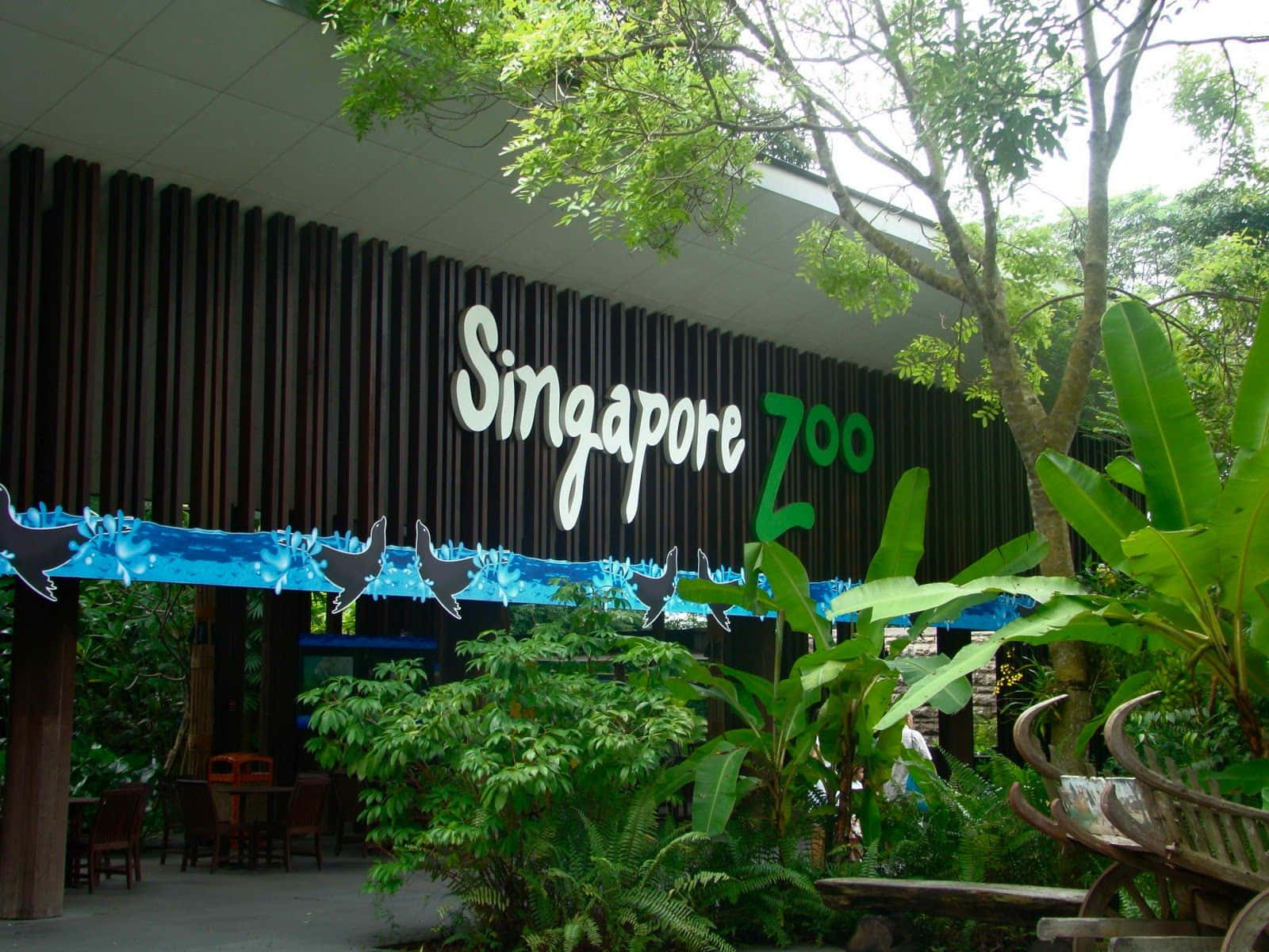 Singapore Zoo, entrance signage, lush greenery, HD Desktop Wallpaper