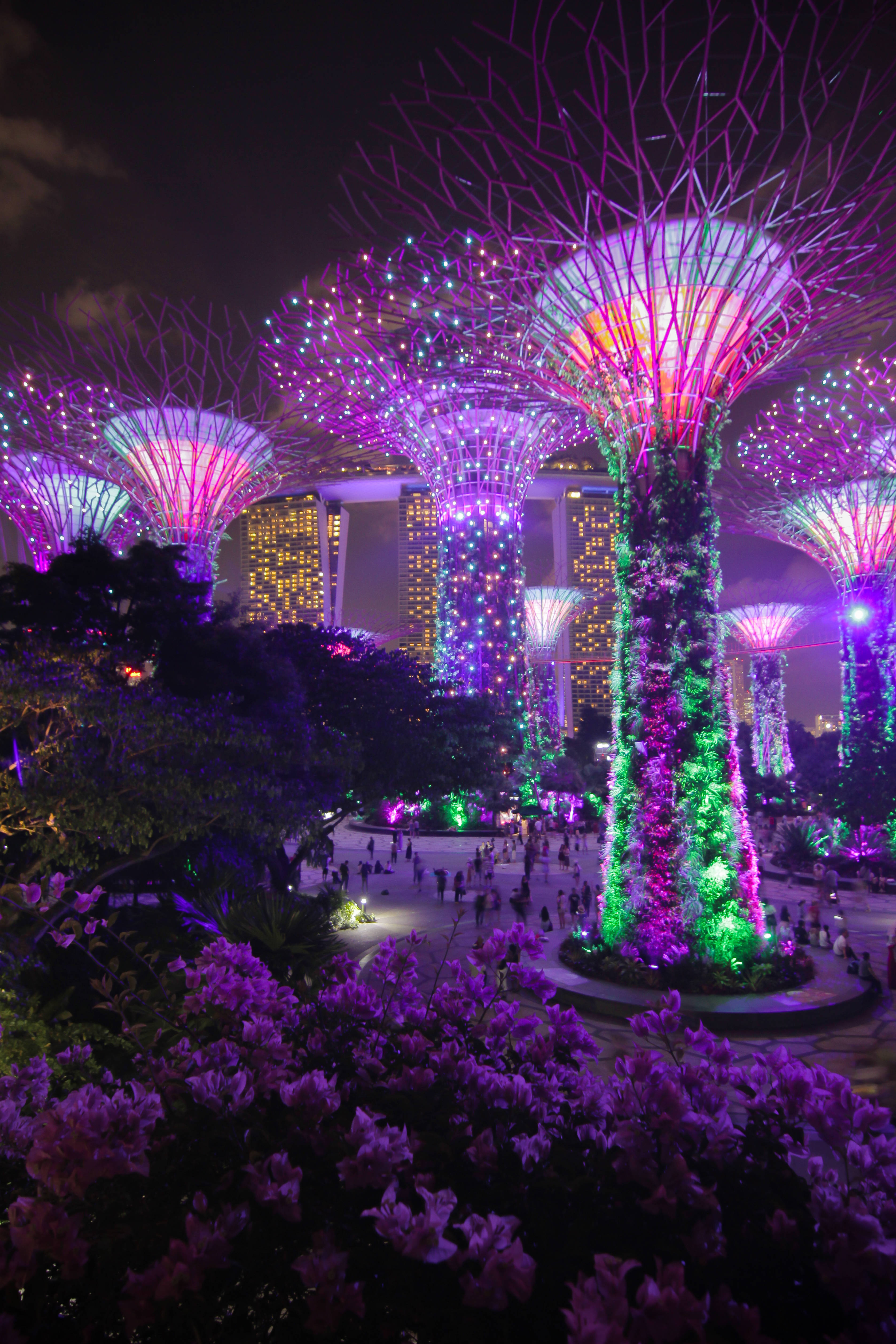 Singapore, purple supertrees, illuminated tree-like structures, 4K Phone Wallpaper