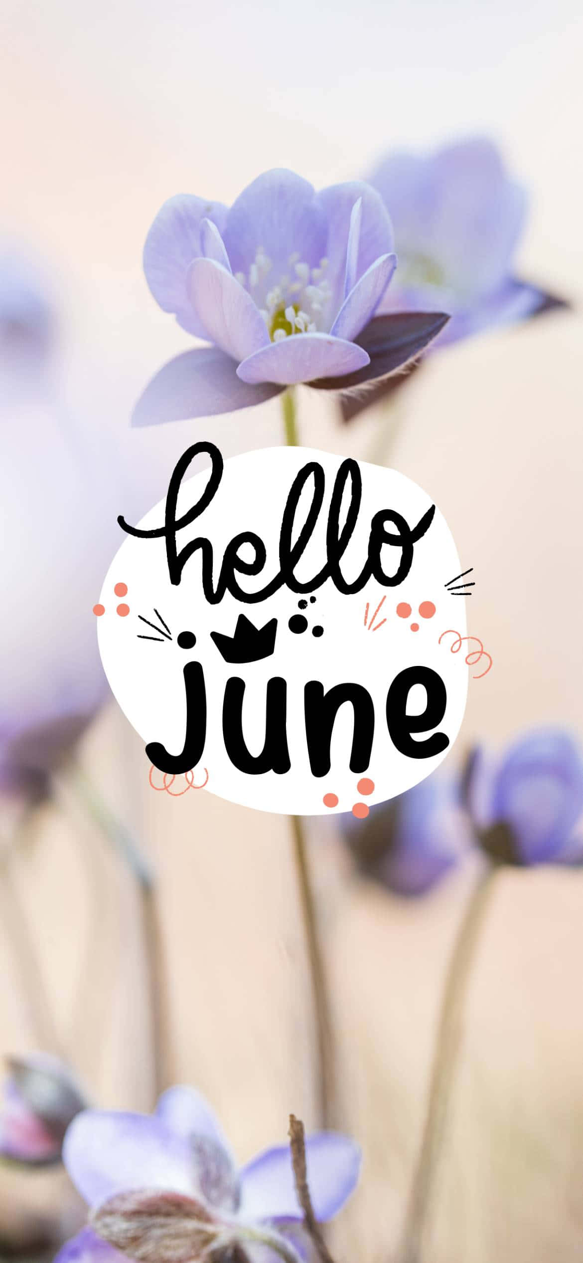 hello june, soft purple flowers, cheerful text overlay, Full HD Phone Wallpaper