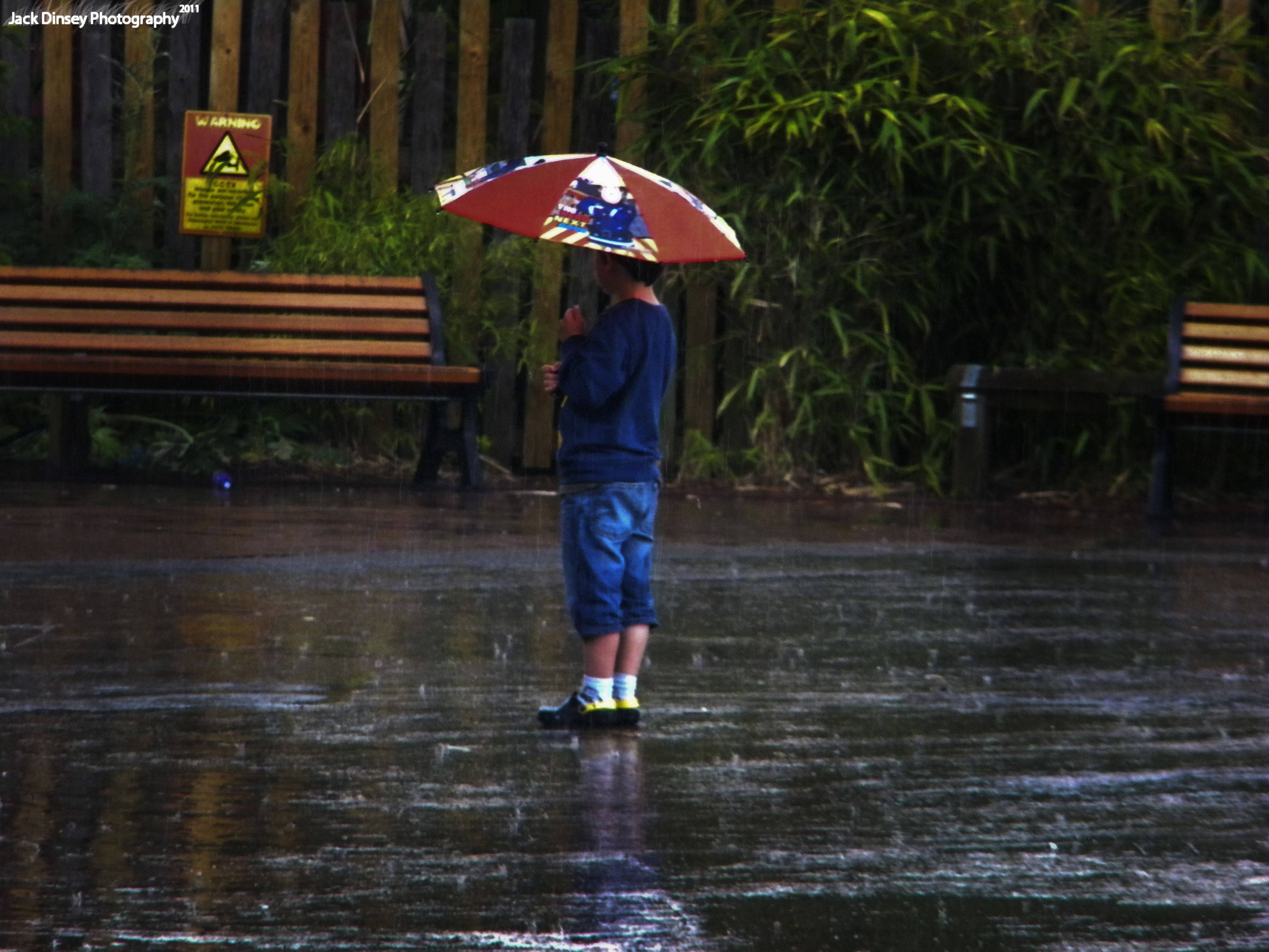 Single Boy, umbrella, rain, 2K Desktop Wallpaper
