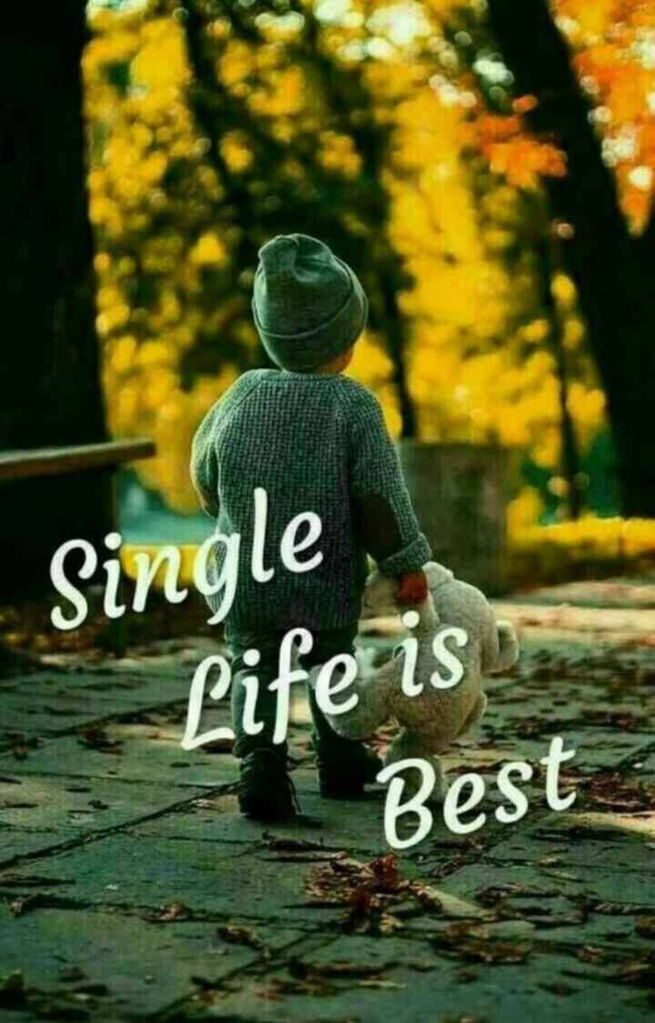 Single Boy, knit hat, leafy path, SD Phone Wallpaper