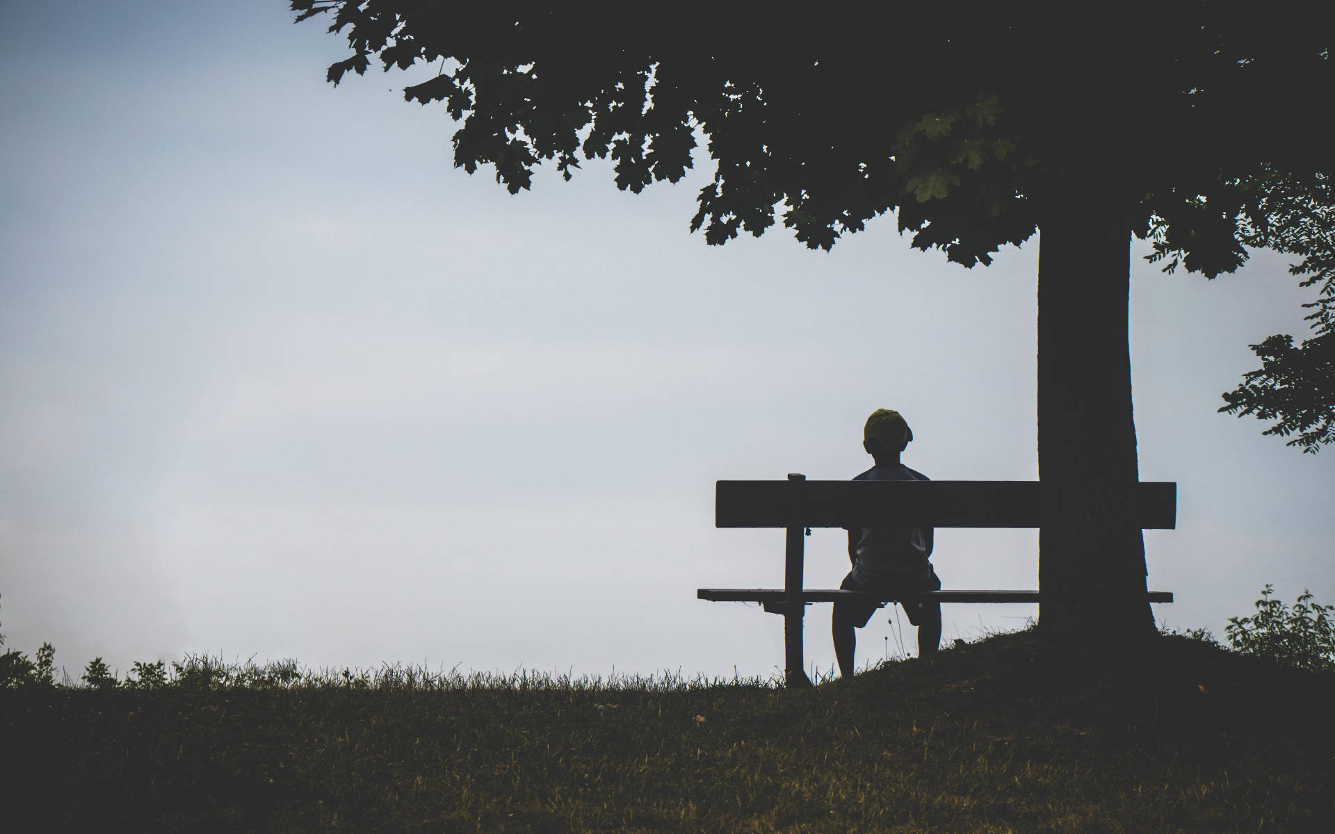 boy, bench, large tree, Full HD Desktop Wallpaper