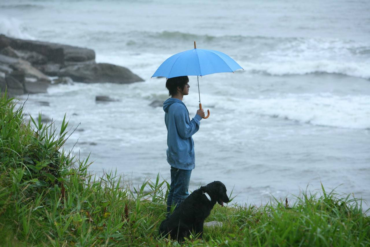 Single Boy, black dog, blue umbrella, HD Desktop Wallpaper