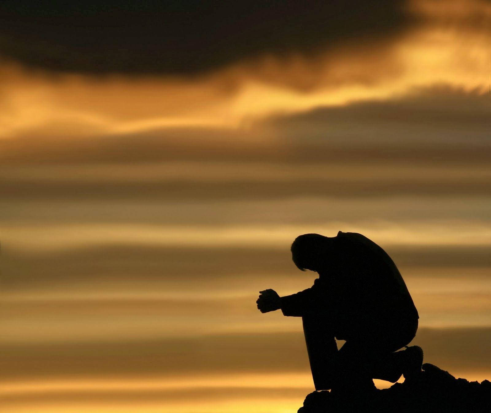 single man, kneeling, golden sunset, HD Desktop Wallpaper