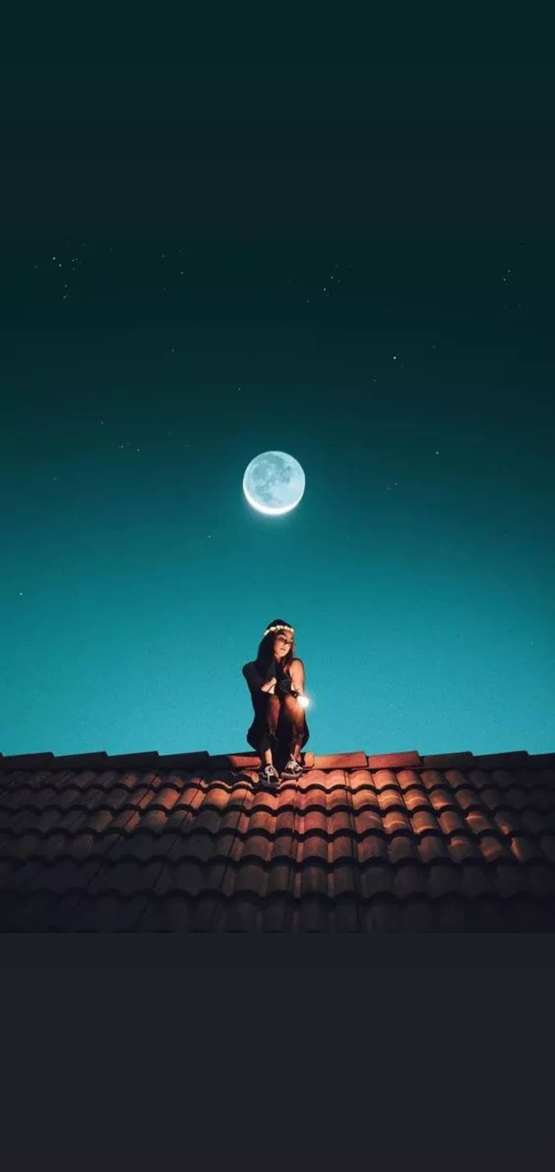 full moon, night sky, tiled roof, Full HD Phone Wallpaper