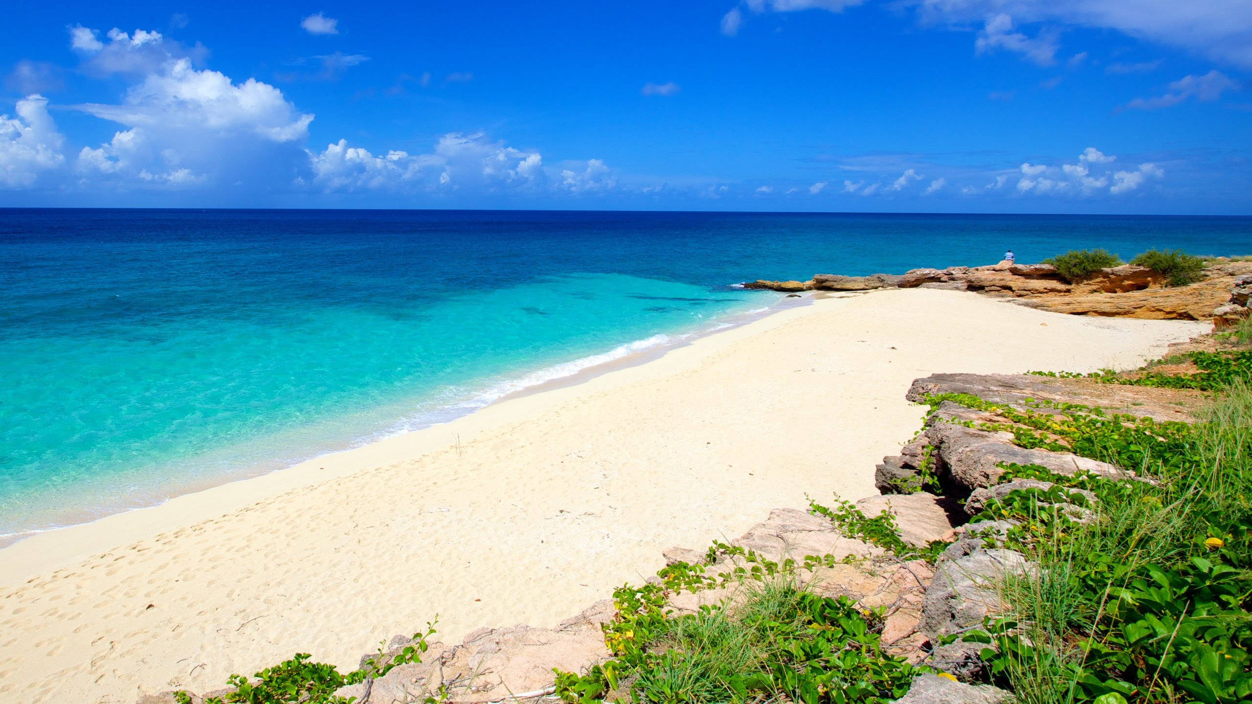 Sint Maarten, white sand beach, turquoise waters, 2K Desktop Wallpaper