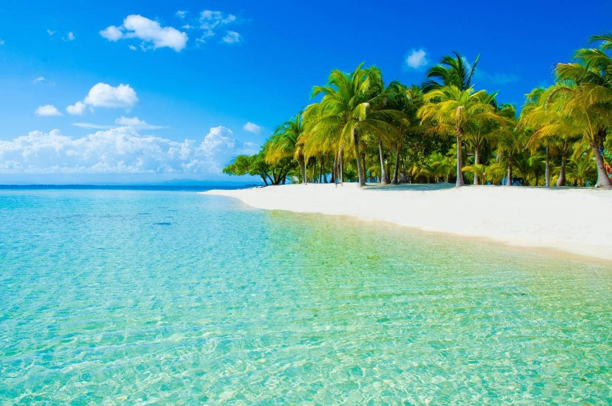 emerald green waters, Sint Maarten, pristine white sandy beach, SD Desktop Wallpaper