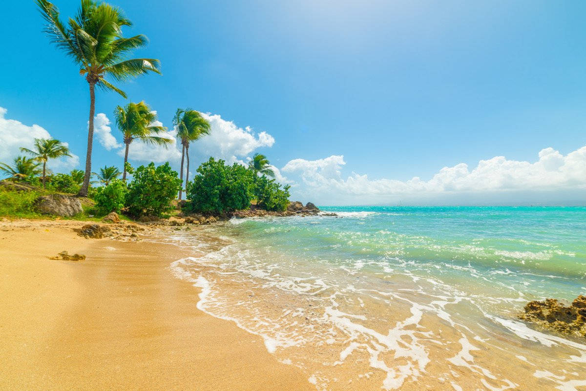 Sint Maarten, golden sand, turquoise waves, SD Desktop Wallpaper