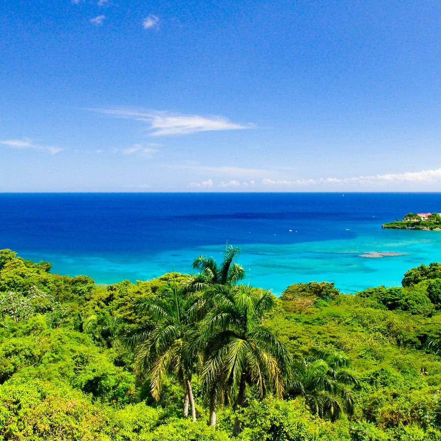 Sint Maarten, turquoise ocean, lush green jungle, SD Desktop Wallpaper