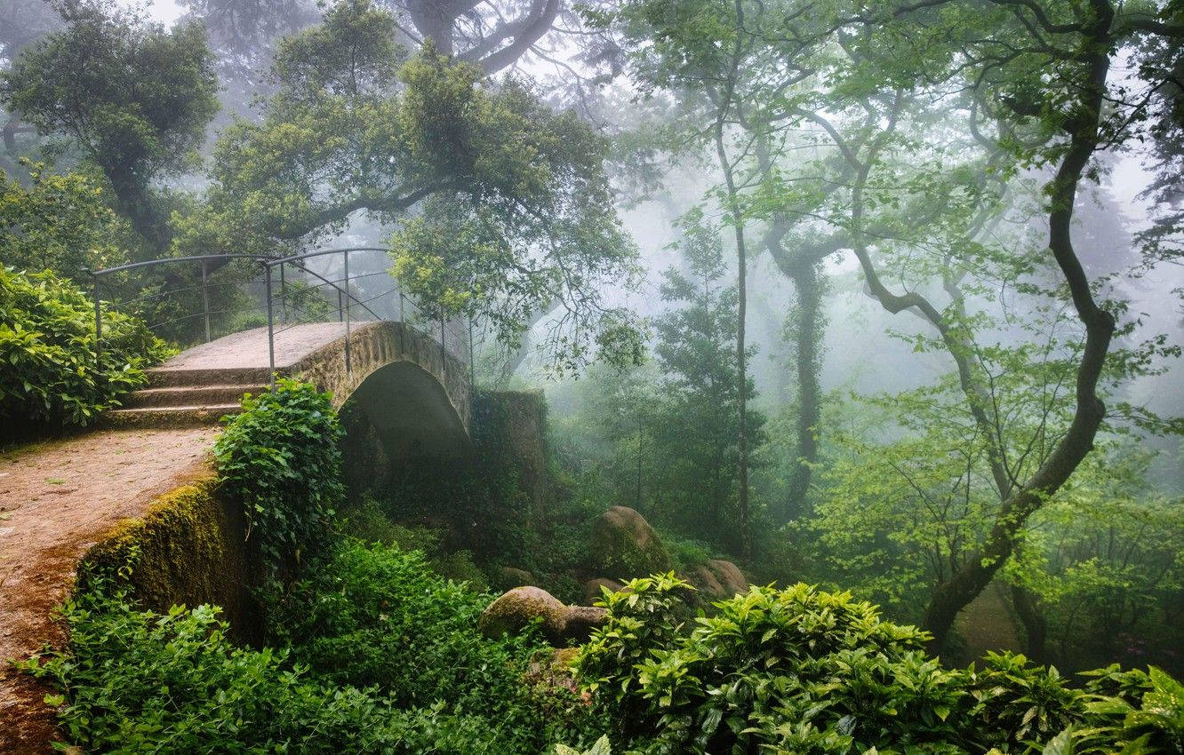 Sintra, forest, bridge, HD Desktop Wallpaper