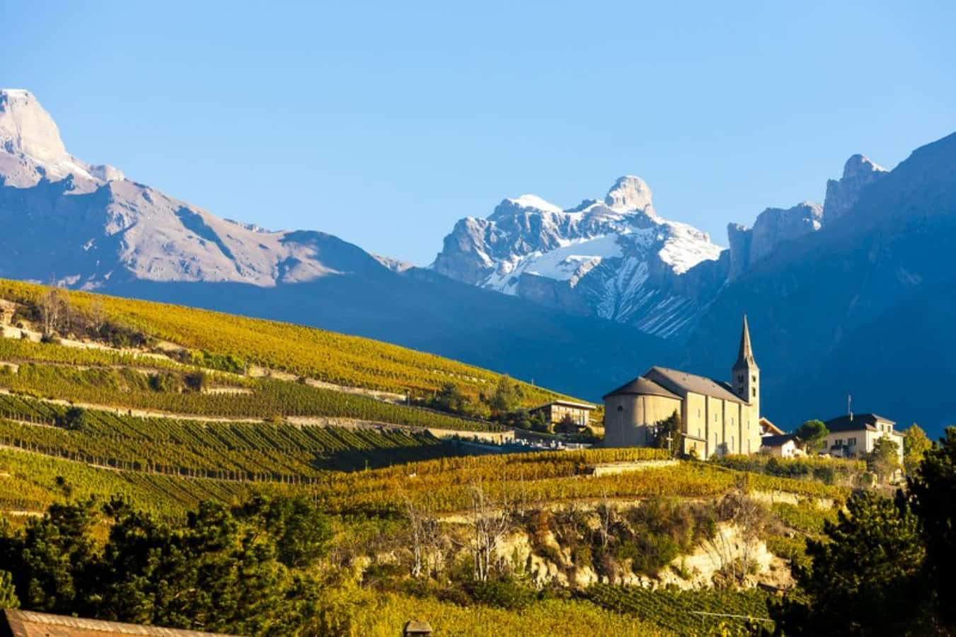Sion, Switzerland, village church, golden vineyards, HD Desktop Wallpaper