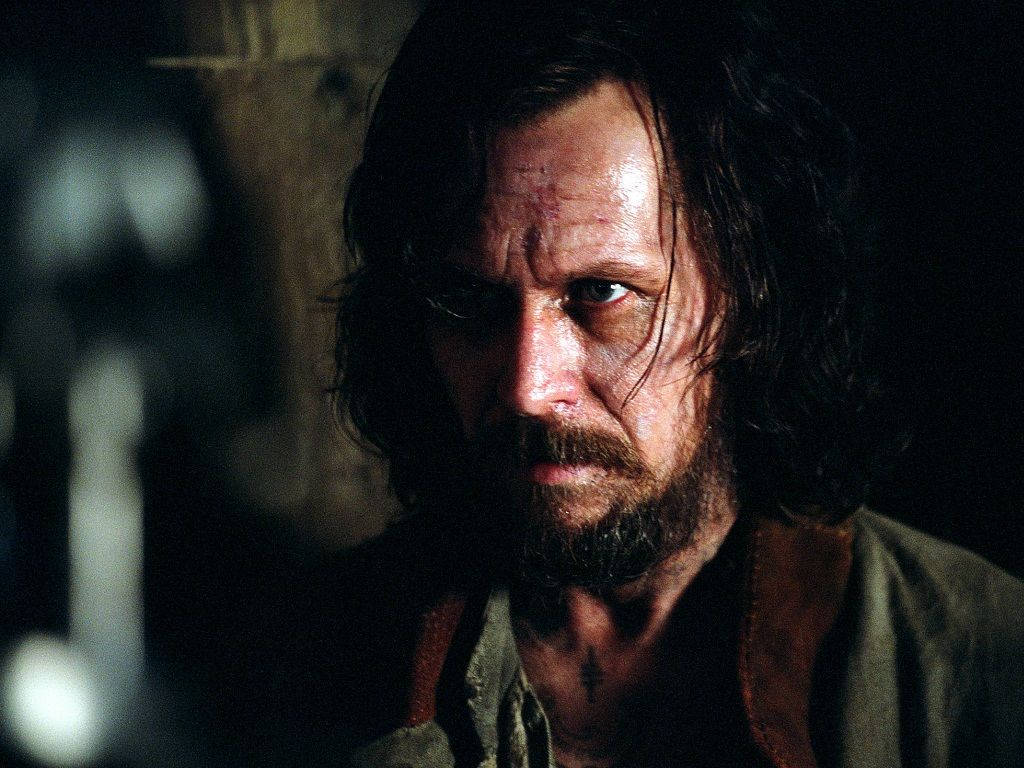 Sirius Black, long dark hair, beard, SD Desktop Wallpaper