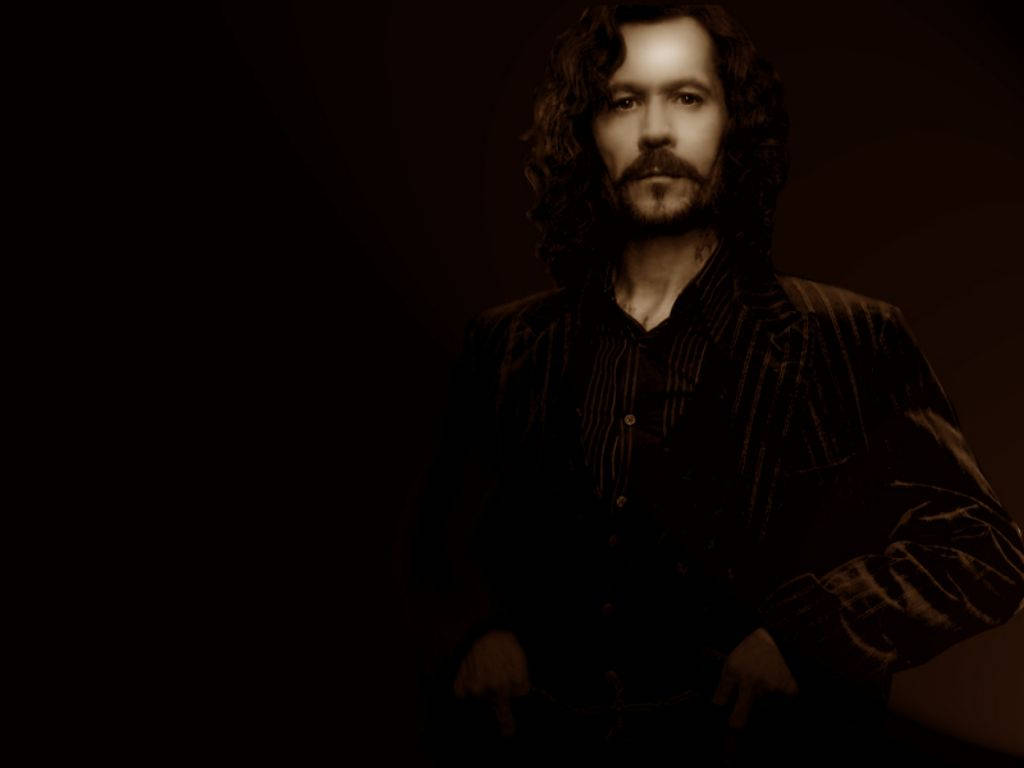 Sirius Black, dark sepia, striped velvet jacket, SD Desktop Wallpaper