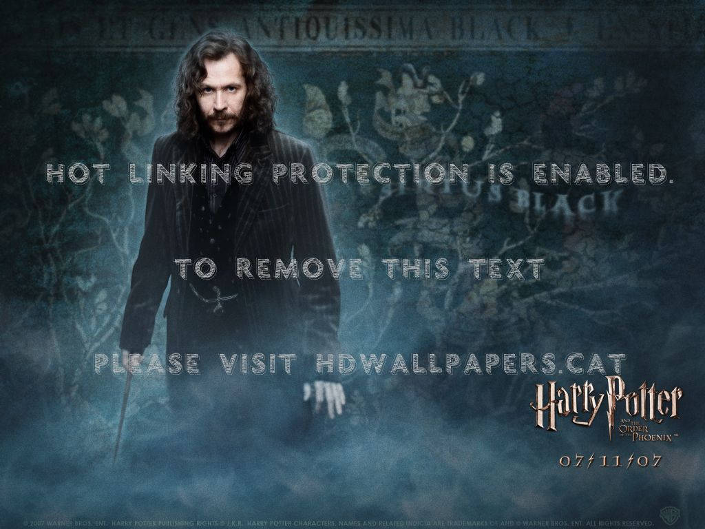 Sirius Black, ghost, black coat, SD Desktop Wallpaper